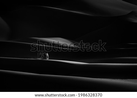 
Desert Camel walking black and white

