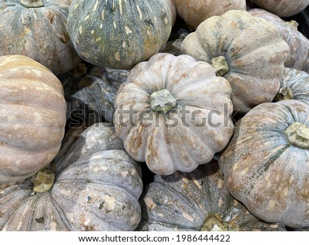 A pumpkin is a cultivar of winter squash that is round with smooth, slightly ribbed skin, and is most often deep yellow to orange in coloration. The thick shell contains the seeds and pulp