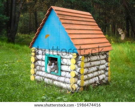 Funny cat in the window of a wooden house