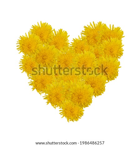 Heart of dandelions, yellow heart, postcard, heart of flowers, love congratulation