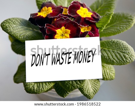 Photo of a colorful flower in a pot by the window. Caption: Don't waste your money.