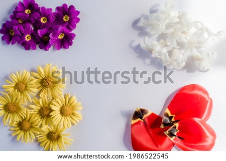 flat lay collection of summer flowers, art composition on white background
