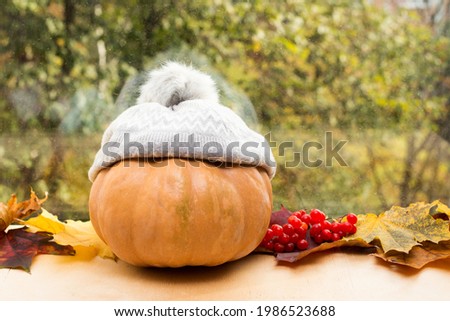 pumpkin on the windowsill with orange autumn leaves