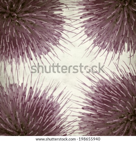 textured old paper background with thistle