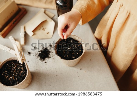 planting herbs at home. 6 years old girl wearing mustard linen dress puts seed in peat container with soil Royalty-Free Stock Photo #1986583475