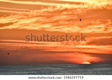 sunset over sea, beautiful photo digital picture