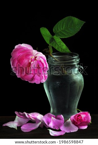 falling pink rose in a glass vase on the table