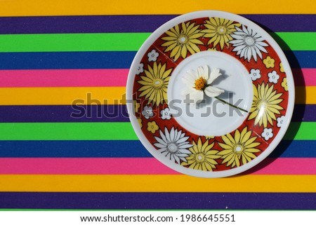 Little white flower on plate. Colorful background.