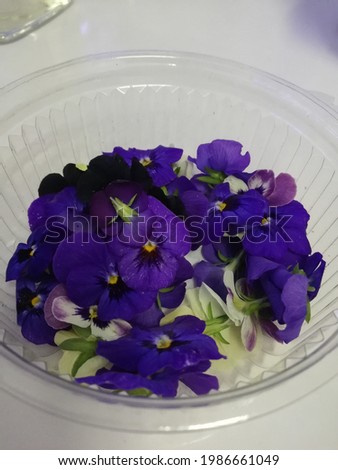 Edible purple flowers on a vase