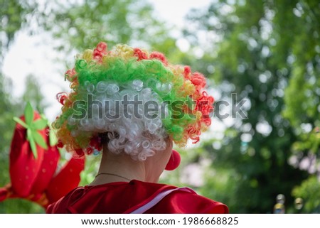 Clown at the party in a colored wig.