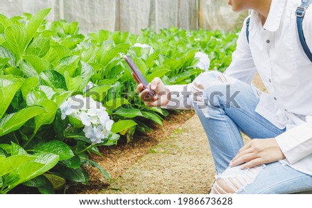 Female using phone taking photo beauty green flower field