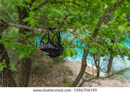 Abandoned fabric protection mask hanging on a tree branch with the lake in the background