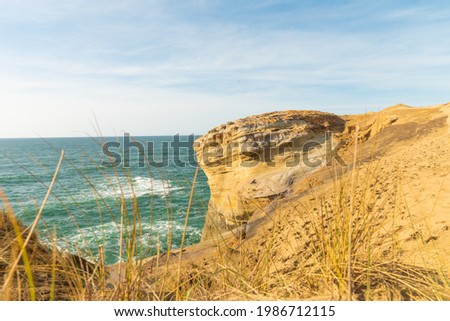 In the photo we see the sandy hilly coast of the ocean. Calm ocean. Light white waves. Clear blue sky and white clouds. No people. There is a place for your insert.