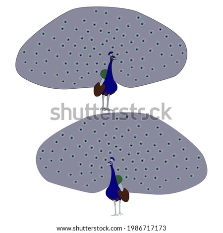 Set of two peacock coloured and an outline for colouring with cartoon eyes