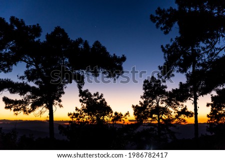 Silhouette scene of pine forest with horizon of sunset sky in orange and blue colors of winter season.