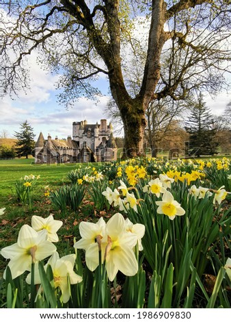 Castle Fraser, Aberdeenshire, North East Scotland, picture with daffodils in the foreground, castle in the background.