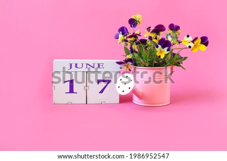 Calendar for June 17 : the name of the month of June in English, cubes with the number 17, a bouquet of violets in a pink watering can on a pink background, side view