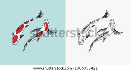 Koi carp, Japanese fish. Korean animal. Engraved hand drawn line art Vintage tattoo monochrome sketch for poster or label.