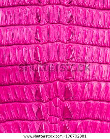 pink crocodile skin texture