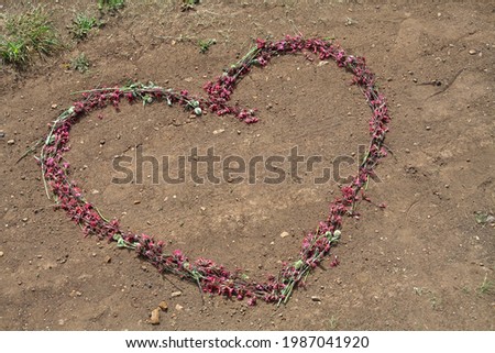 The contour of the heart is laid out in red flowers on the ground. abstract background. for lovers. (outline, corner).