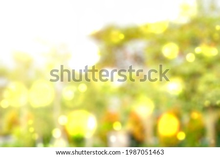 Green plants with blurred background