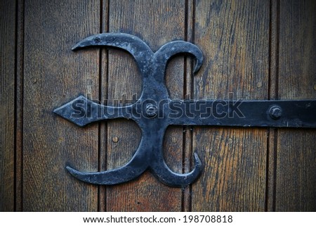 Detail of an Old Decorative Iron Hinge Mount on a Wooden Door
