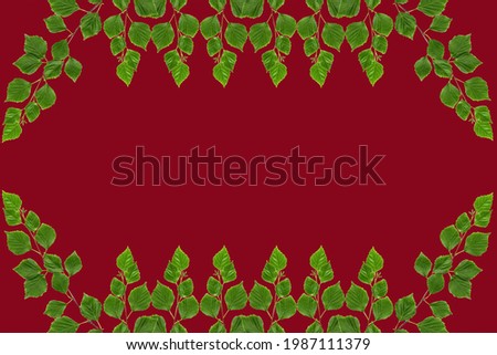 Frame texture of birch branches with foliage with empty space for text decoration. Colored background