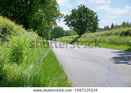 view along quiet country road from road side verge hedgerow Royalty-Free Stock Photo #1987139234