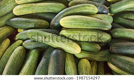 Fresh vegetble cucumber background picture