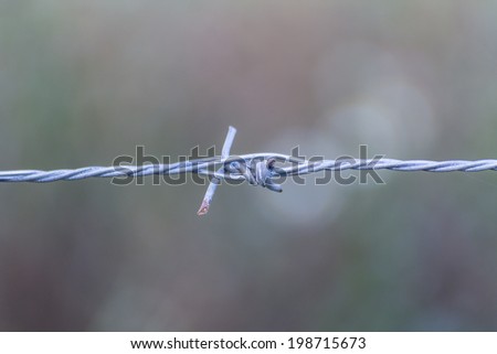 Barbed Wire fence