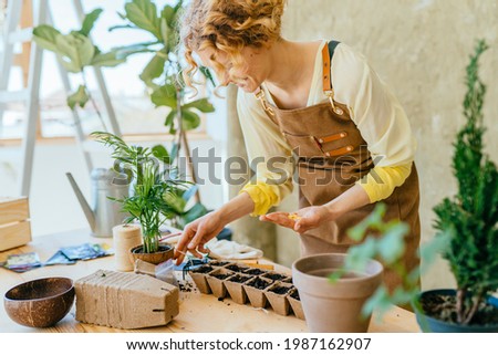 Portrait of happy female gardener working in home garden holds seeds in the palm and sowing seeds in peat pots in wooden table indoor. Royalty-Free Stock Photo #1987162907