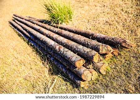 A pile of pine logs on the grass in a beautiful winter meadow.