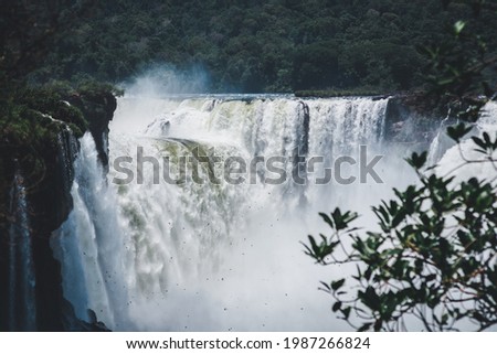Devil's Throat in the Iguazu Falls with swifts flying over the area Royalty-Free Stock Photo #1987266824