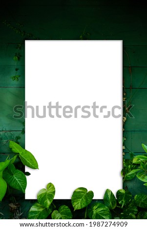 Paper card mockup for copy space on wooden green wall background and tropical green leaves plant. Mockup for message or picture. Lifestyle and decoration template.
