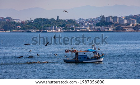 Fishing boat surrounded by seabirds during the day in Guanabara Bay, Rio de Janeiro, Brazil