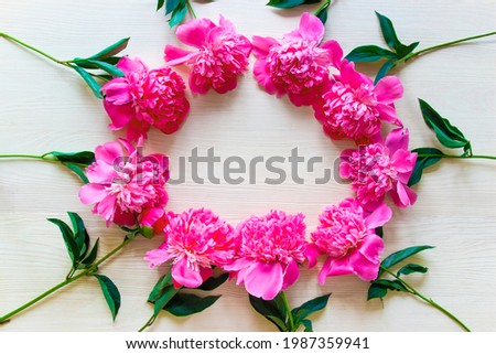 pink peonies lie in a circle on a light wooden background. inside empty space for text. copy space