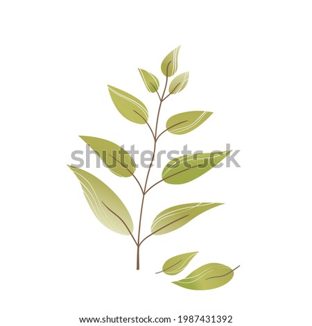 Hand drawn color leaf. Cute isolated element. Modern floral compositions. Tropic brown branches. Vector stock illustration. Clip art for stationery, web design, wallpaper, card.