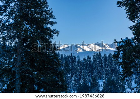 Winter season, Gulmarg is a town, a hill station, a popular tourist  skiing destination, Kashmir, India