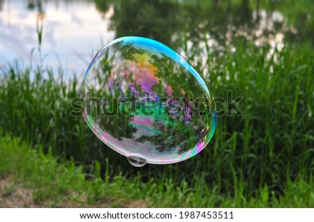 Big soap bubbles in the forest in summer copy space, background 