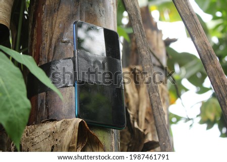 a photo of a smartphone glued with duct tape on a banana tree