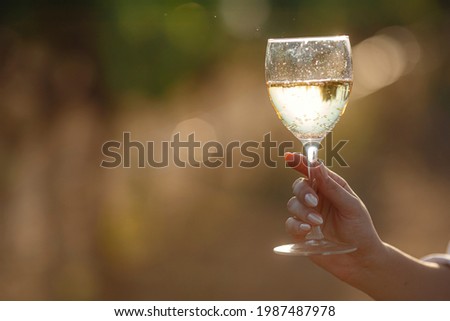 Vintner woman tasting white wine from a glass in a vineyard. vineyards background at sunset. Macro shot of a sommelier hand that hold the wineglass