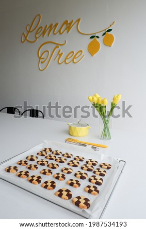 Checkerboard Cookies Vanilla Cocoa Flavors