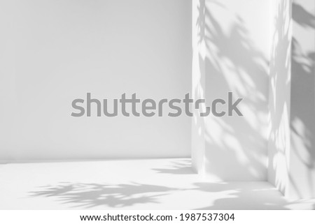 White table and abstract geometric wall background with flowers and palm leaves shadows overlay. Abstract gray studio background for product presentation. 3d room with copy space. Summer concept.