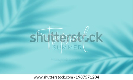Realistic transparent shadow from a leaf of a palm tree on the blue background. Tropical leaves shadow. Mockup with palm leaves shadow. Vector illustration EPS10 Royalty-Free Stock Photo #1987571204