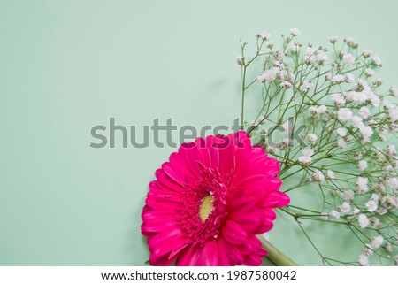 Gerbera flower with small white paniculata flowers