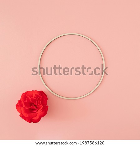 fresh red roses with white frame on the pastel pink background. summer tropical background. minimal flat lay with copy space