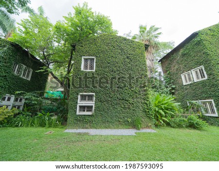 Green house building covered by natural green forest trees, grass, leaves surrounded by outdoor yard garden. Environment landscape. Nature background.