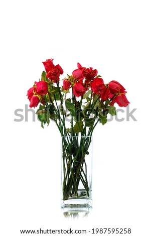 bouquet of dried pink roses in a vase, isolated on white