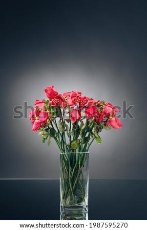 bouquet of dried pink roses in a vase, close-up view