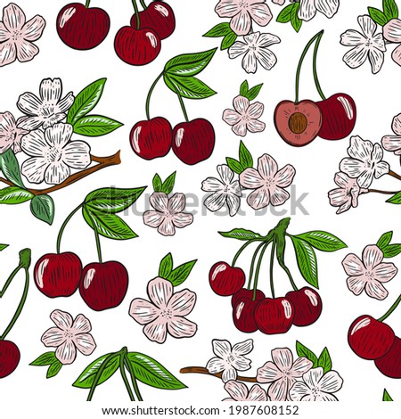 Seamless pattern with cherries and flowers, vector. Blooming cherry tree and ripe berries. Delicate natural background with food.